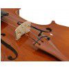 Carlo Giordano VS-2 skrzypce 4/4 (kpl.)