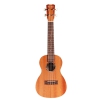 Cordoba Protege U1 ukulele koncertowe