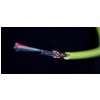 DJ TECHTOOLS Chroma Cable kabel USB 1.5m prosty (zielony)