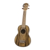 Fzone FZU-DZ20 21 Inch ukulele sopranowe