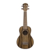 Fzone FZU-DZ20 21 Inch ukulele sopranowe