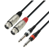 Adam Hall Cables K3 TFP 0100 - kabel 2xTS / 2xXLR, 1 m