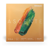 D′Addario Ascente A410MM Medium Scale struny altwkowe (medium)