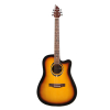 Flycat C100 TSB gitara akustyczna