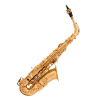 Arnolds&Sons AAS 110 saksofon altowy