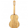 Alhambra 6 Olive gitara klasyczna/top cedr
