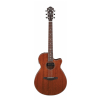 Ibanez AEG220-LGS Natural Low Gloss gitara elektroakustyczna