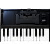 Roland K-25M keyboard unit do Boutique