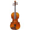 Paesold PA401E 4/4 skrzypce ″Allegro″ (komplet)