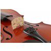 Paesold PA400G-V 4/4 ″Starter″ skrzypce (komplet)
