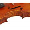 Antoni Symphonique ASV44 skrzypce 4/4 z futeraem