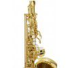 Trevor James 3722G saksofon altowy, lakierowany (z futeraem)