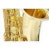 Roy Benson TS-302 saksofon tenorowy, lakierowany (z futeraem)
