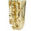 Roy Benson TS-302 saksofon tenorowy, lakierowany (z futeraem)