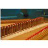 Bizzi Studio klawesyn 1-manuaowy z transpozycj A=440Hz/415Hz