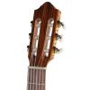 Gewa Pro Arte GC230 gitara klasyczna 4/4 wierk