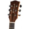 Richwood D-20-CE gitara elektroakustyczna wierk i maho