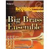 Roland SRX 10 karta rozszerzajca brzmienia - Big Brass Ensemble