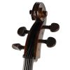 Stentor SR-1102-A-4/4 Student I Cello Set 4/4 - wiolonczela 4/4