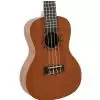 Baton Rouge V2 C sun  ukulele koncertowe