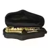 Trevor James 371A Alphasax saksofon altowy, lakierowany (z futeraem)