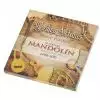 Medina Artigas 1400 10D struny do mandoliny 10 strunowego