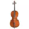 Stagg Cello 4/4  wiolonczela 4/4 z pokrowcem