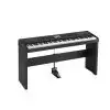 Korg Havian 30 pianino cyfrowe z aranerem