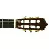 Baton Rouge LMSM gitara klasyczna