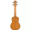 Fzone FZU-06S 21 Inch ukulele sopranowe