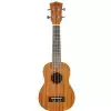 Fzone FZU-110S 21 Inch ukulele sopranowe natural