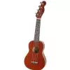 Fender Venice ukulele