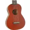 Fender Venice ukulele