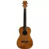 Kala Mahogany Ply ukulele barytonowe z pokrowcem