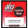 GHS Custom Shop - Pat Martino Signature Flatwounds struny do gitary elektrycznej, Light, .016-.056