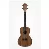 Kala Pacific Walnut ukulele koncertowe z pokrowcem Kala Pacific Walnut ukulele koncertowe z pokrowcem