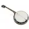 Richwood RBJ804-SS tenor banjo irish model