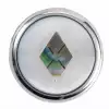 Warwick WAR-30518-CR-SNOWFLK St Knopf, rund 4-6mm, Snowf CR st knob, round 4-6mm, Snowf CR, ga�ka potencjometru