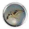 Warwick WAR-30518-CR-GULL St Knopf, rund 4-6mm, Gull CR st knob, round 4-6mm, Gull CR, ga�ka potencjometru