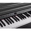 Artesia DP-3+ RW PVC - pianino cyfrowe