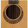 Luna Safari Muse Spruce gitara akustyczna 3/4