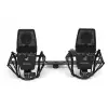 SE Electronics sE 4400A Stereo Pair para mikrofonw pojemnociowych