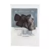 Dunlop Primetone Small Tri Picks, smooth, Refill Pack, zestaw kostek gitarowych, 1.30 mm