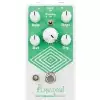 EarthQuaker Devices Arpanoid V2 Polyphonic Pitch Arpeggiator efekt do gitary elektrycznej