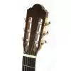 Baton Rouge LM5 Speci Cut P gitara klasyczna