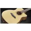 Framus FF 14 SV - Vintage Transparent High Polish Natural Tinted + EQ gitara elektroakustyczna Framus FF 14 SV - Vintage Transparent High Polish Natural Tinted + EQ gitara elektroakustyczna