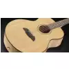 Framus FJ 14 SMV - Vintage Transparent Satin Natural Tinted (12-string) gitara akustyczna