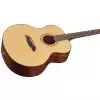 Framus FJ 14 SV - VIntage Transparent Satin Natural Tinted gitara akustyczna