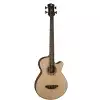 Luna Acoustic Tribal Bass A/E SN - gitara basowa elektroakustyczna