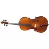 Hora C200 - wiolonczela 3/4 Hora C200 - wiolonczela 3/4